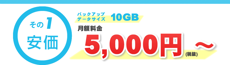 安価/バックアップデータサイズ10MB/月額料金5，000円（税抜）～